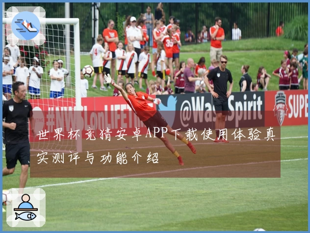 世界杯竞猜安卓APP下载使用体验真实测评与功能介绍