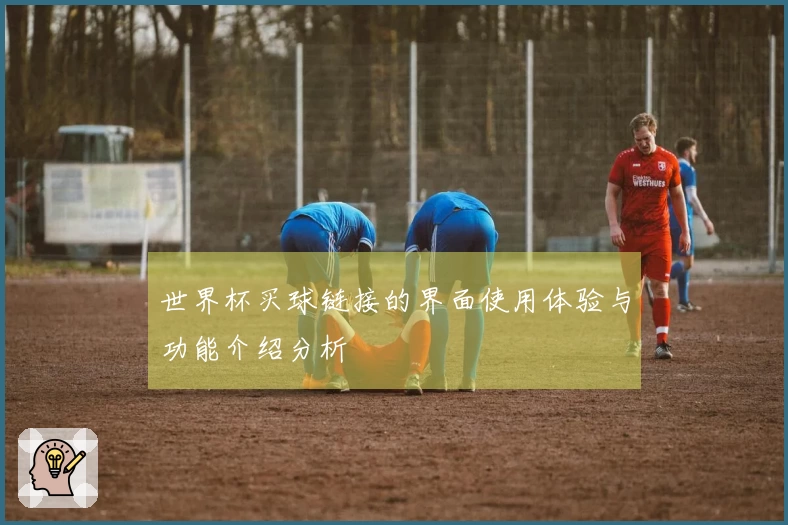 世界杯买球链接的界面使用体验与功能介绍分析