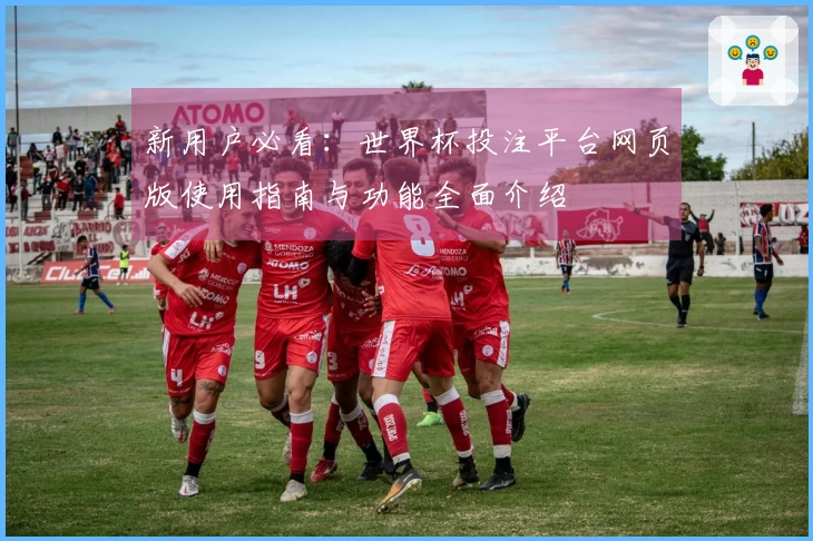 新用户必看：世界杯投注平台网页版使用指南与功能全面介绍
