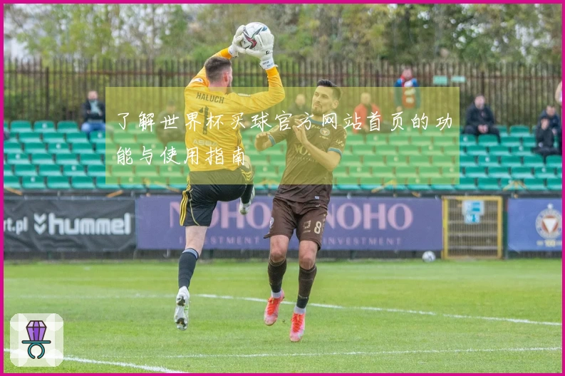 了解世界杯买球官方网站首页的功能与使用指南