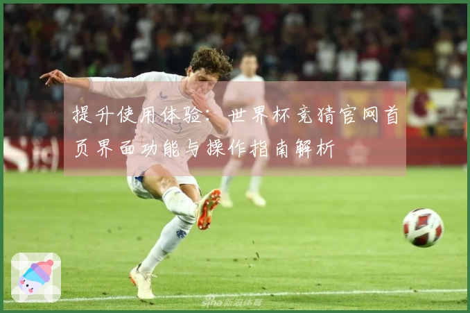 提升使用体验：世界杯竞猜官网首页界面功能与操作指南解析
